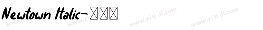 Newtown Italic字体转换